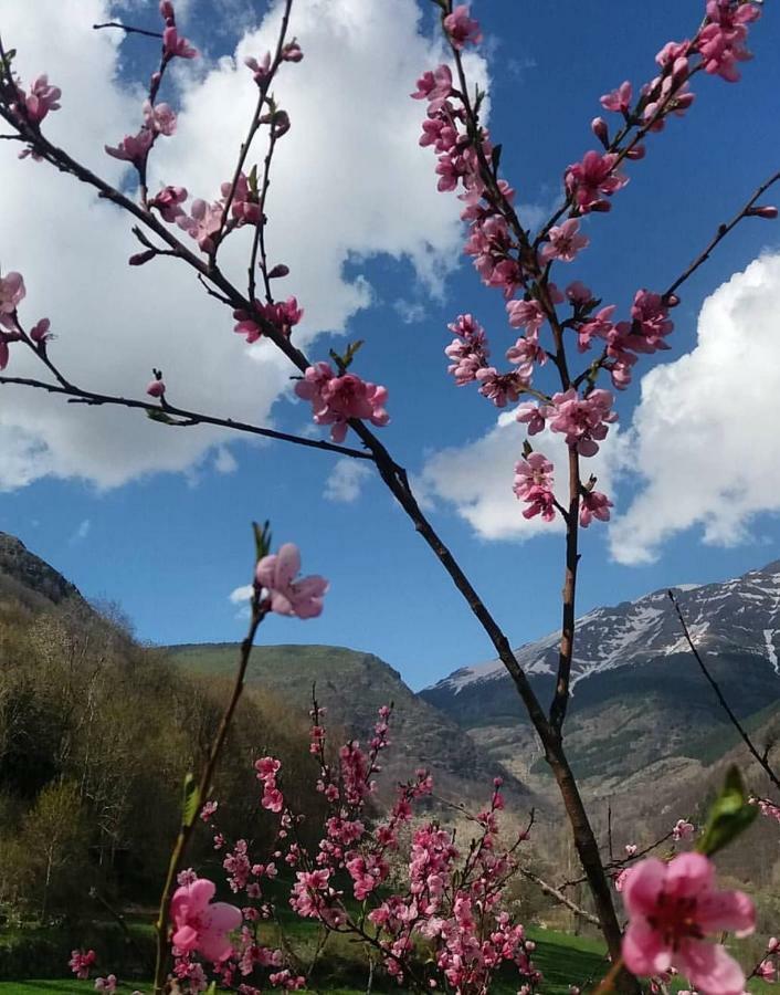 Affittacamere Casa Sastre Espuy Esterno foto